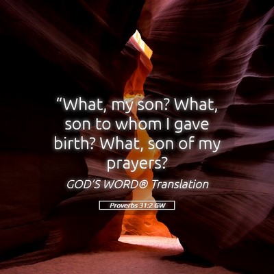 Picture 05 - Proverbs 31:2 GW - “What, my son? What, son to whom I gave birth? - Bible Verse Picture