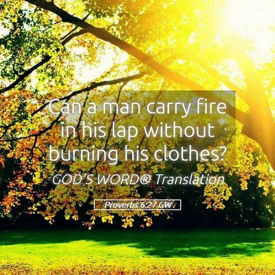 Picture 05 - Proverbs 6:27 GW - Can a man carry fire in his lap without burning - Bible Verse Picture