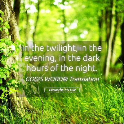 Picture 05 - Proverbs 7:9 GW - in the twilight, in the evening, in the dark - Bible Verse Picture