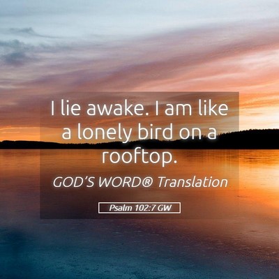 Picture 05 - Psalm 102:7 GW - I lie awake. I am like a lonely bird on a - Bible Verse Picture