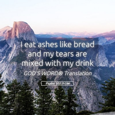 Picture 05 - Psalm 102:9 GW - I eat ashes like bread and my tears are mixed - Bible Verse Picture
