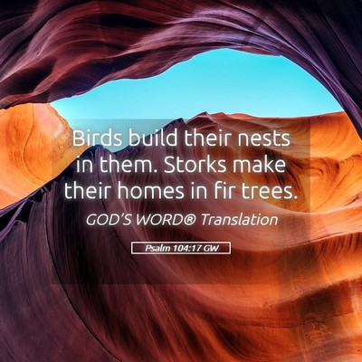 Picture 05 - Psalm 104:17 GW - Birds build their nests in them. Storks make - Bible Verse Picture