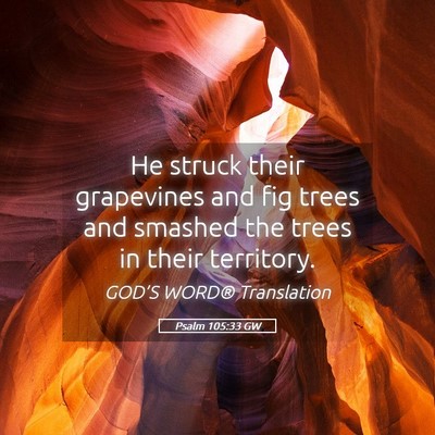 Picture 05 - Psalm 105:33 GW - He struck their grapevines and fig trees and - Bible Verse Picture