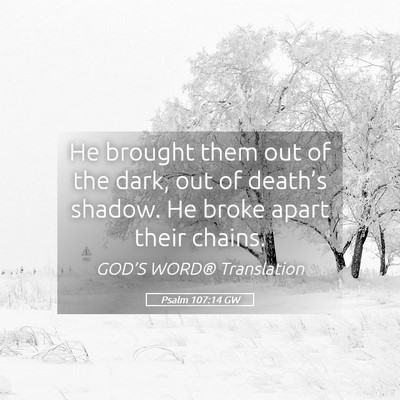 Picture 05 - Psalm 107:14 GW - He brought them out of the dark, out of death’s - Bible Verse Picture