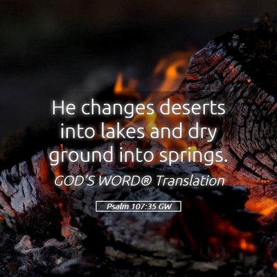 Picture 05 - Psalm 107:35 GW - He changes deserts into lakes and dry ground into - Bible Verse Picture
