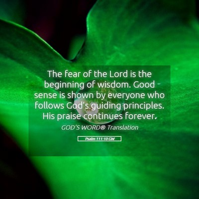 Picture 05 - Psalm 111:10 GW - The fear of the Lord is the beginning of wisdom. - Bible Verse Picture