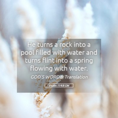 Picture 05 - Psalm 114:8 GW - He turns a rock into a pool filled with water and - Bible Verse Picture