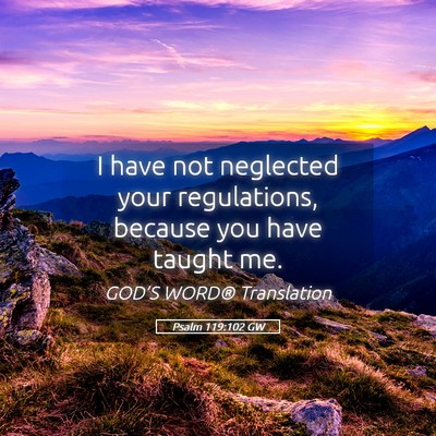 Picture 05 - Psalm 119:102 GW - I have not neglected your regulations, because - Bible Verse Picture