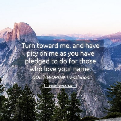 Picture 05 - Psalm 119:132 GW - Turn toward me, and have pity on me as you have - Bible Verse Picture