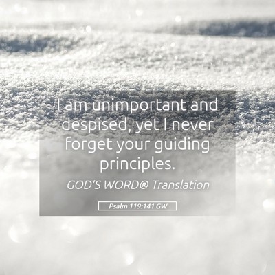 Picture 05 - Psalm 119:141 GW - I am unimportant and despised, yet I never forget - Bible Verse Picture