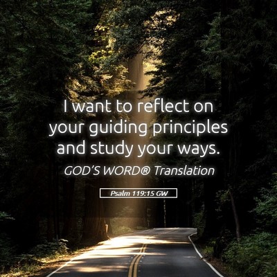 Picture 05 - Psalm 119:15 GW - I want to reflect on your guiding principles and - Bible Verse Picture