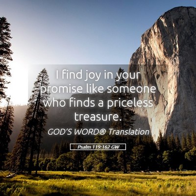 Picture 05 - Psalm 119:162 GW - I find joy in your promise like someone who finds - Bible Verse Picture