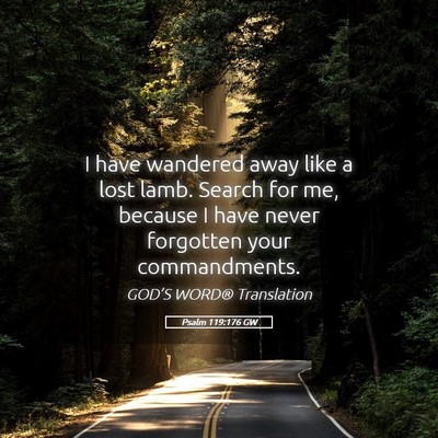 Picture 05 - Psalm 119:176 GW - I have wandered away like a lost lamb. Search for - Bible Verse Picture
