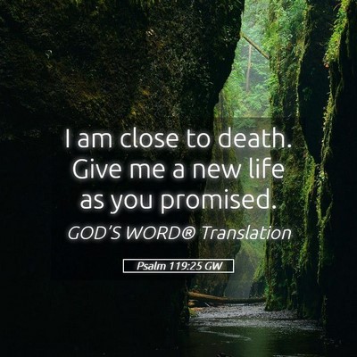 Picture 05 - Psalm 119:25 GW - I am close to death. Give me a new life as you - Bible Verse Picture