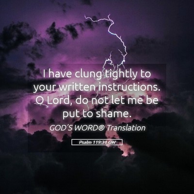 Picture 05 - Psalm 119:31 GW - I have clung tightly to your written - Bible Verse Picture
