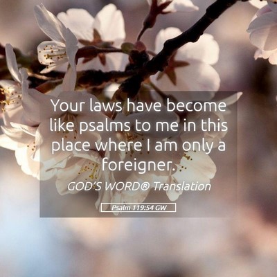 Picture 05 - Psalm 119:54 GW - Your laws have become like psalms to me in this - Bible Verse Picture