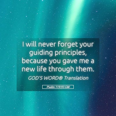 Picture 05 - Psalm 119:93 GW - I will never forget your guiding principles, - Bible Verse Picture