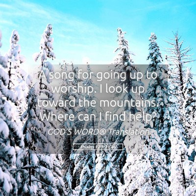 Picture 05 - Psalm 121:1 GW - A song for going up to worship. I look up toward - Bible Verse Picture
