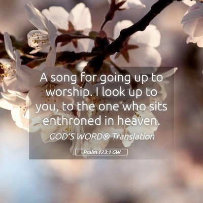 Picture 05 - Psalm 123:1 GW - A song for going up to worship. I look up to you, - Bible Verse Picture