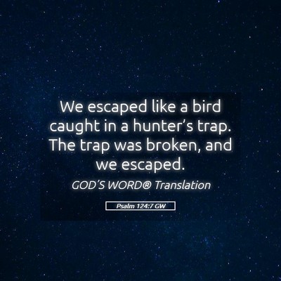 Picture 05 - Psalm 124:7 GW - We escaped like a bird caught in a hunter’s - Bible Verse Picture