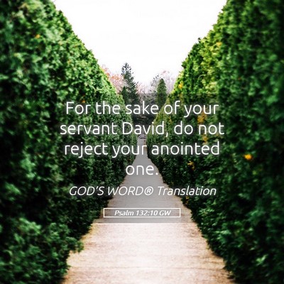 Picture 05 - Psalm 132:10 GW - For the sake of your servant David, do not reject - Bible Verse Picture