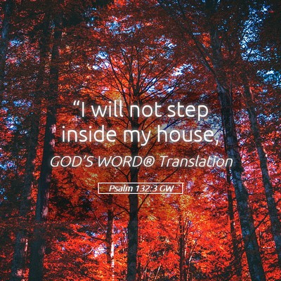 Picture 05 - Psalm 132:3 GW - “I will not step inside my - Bible Verse Picture