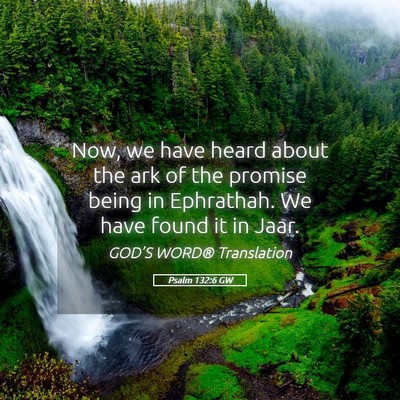 Picture 05 - Psalm 132:6 GW - Now, we have heard about the ark of the promise - Bible Verse Picture
