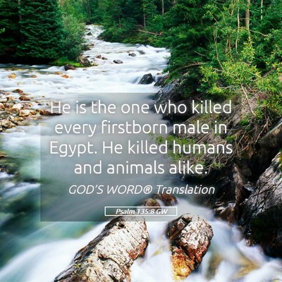 Picture 05 - Psalm 135:8 GW - He is the one who killed every firstborn male in - Bible Verse Picture