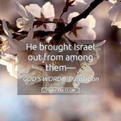 Picture 05 - Psalm 136:11 GW - He brought Israel out from among - Bible Verse Picture