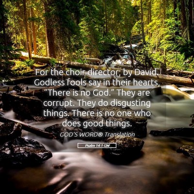 Picture 05 - Psalm 14:1 GW - For the choir director; by David. Godless fools - Bible Verse Picture