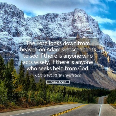 Picture 05 - Psalm 14:2 GW - The Lord looks down from heaven on Adam’s - Bible Verse Picture