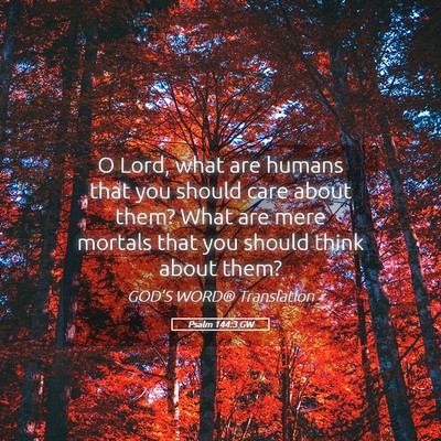 Picture 05 - Psalm 144:3 GW - O Lord, what are humans that you should care - Bible Verse Picture
