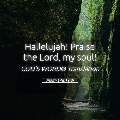 Picture 05 - Psalm 146:1 GW - Hallelujah! Praise the Lord, my - Bible Verse Picture