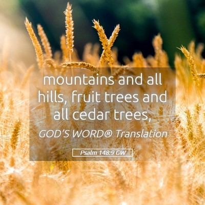 Picture 05 - Psalm 148:9 GW - mountains and all hills, fruit trees and all - Bible Verse Picture