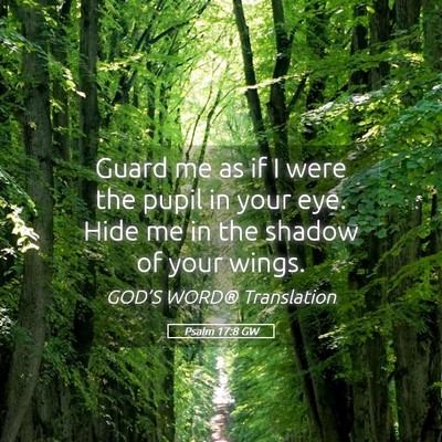 Picture 05 - Psalm 17:8 GW - Guard me as if I were the pupil in your eye. Hide - Bible Verse Picture