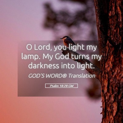 Picture 05 - Psalm 18:28 GW - O Lord, you light my lamp. My God turns my - Bible Verse Picture