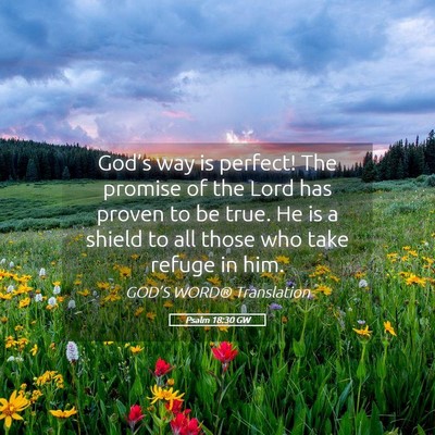 Picture 05 - Psalm 18:30 GW - God’s way is perfect! The promise of the Lord - Bible Verse Picture