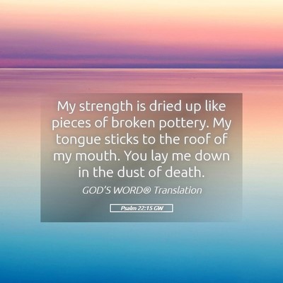Picture 05 - Psalm 22:15 GW - My strength is dried up like pieces of broken - Bible Verse Picture