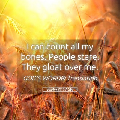 Picture 05 - Psalm 22:17 GW - I can count all my bones. People stare. They - Bible Verse Picture