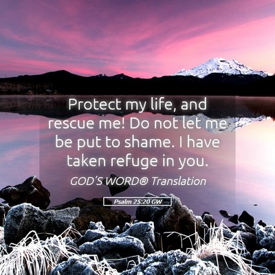Picture 05 - Psalm 25:20 GW - Protect my life, and rescue me! Do not let me be - Bible Verse Picture