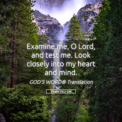 Picture 05 - Psalm 26:2 GW - Examine me, O Lord, and test me. Look closely - Bible Verse Picture