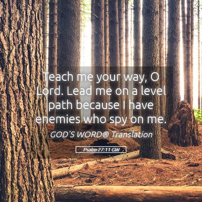Picture 05 - Psalm 27:11 GW - Teach me your way, O Lord. Lead me on a level - Bible Verse Picture