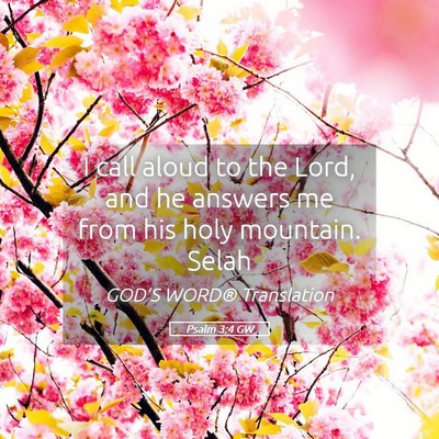 Picture 05 - Psalm 3:4 GW - I call aloud to the Lord, and he answers me from - Bible Verse Picture
