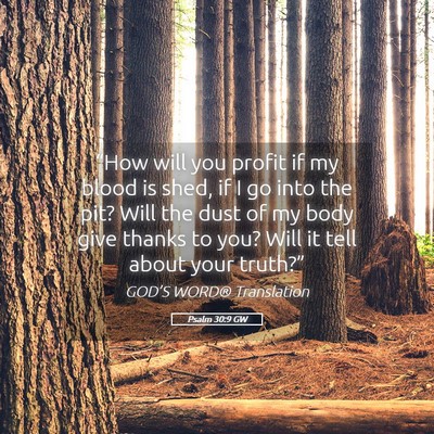 Picture 05 - Psalm 30:9 GW - “How will you profit if my blood is shed, if I - Bible Verse Picture