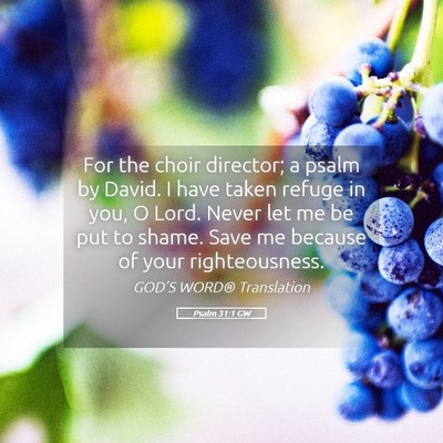 Picture 05 - Psalm 31:1 GW - For the choir director; a psalm by David. I have - Bible Verse Picture