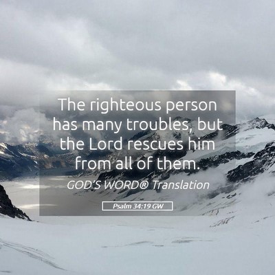 Picture 05 - Psalm 34:19 GW - The righteous person has many troubles, but the - Bible Verse Picture