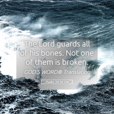 Picture 05 - Psalm 34:20 GW - The Lord guards all of his bones. Not one of them - Bible Verse Picture
