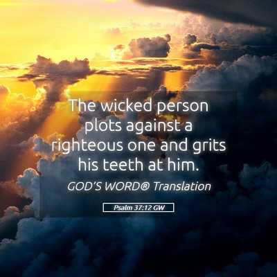 Picture 05 - Psalm 37:12 GW - The wicked person plots against a righteous one - Bible Verse Picture