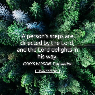 Picture 05 - Psalm 37:23 GW - A person’s steps are directed by the Lord, and - Bible Verse Picture