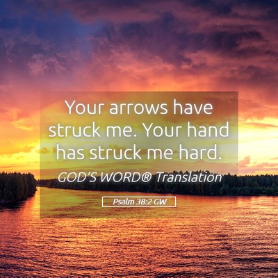 Picture 05 - Psalm 38:2 GW - Your arrows have struck me. Your hand has struck - Bible Verse Picture
